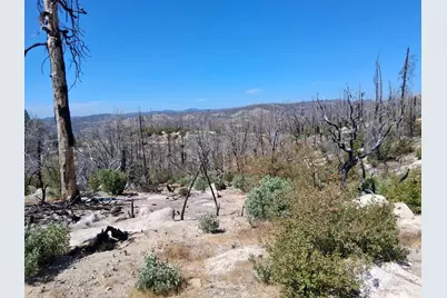 0 Bald Rock Road, Berry Creek, CA 95916 - Photo 7