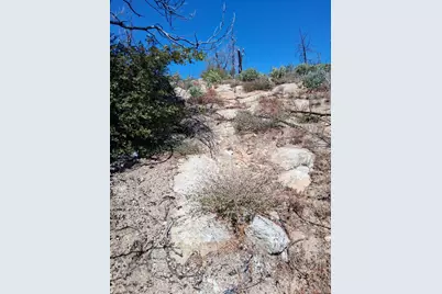 0 Bald Rock Road, Berry Creek, CA 95916 - Photo 3