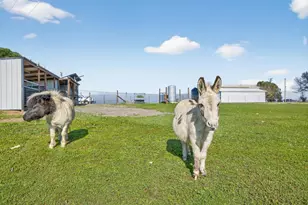 11490 N Arno Rd, Galt, CA 95632 - Photo 65