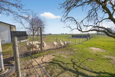 11490 N Arno Road, Galt, CA 95632 - Photo 15