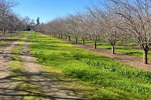 1935 Warnock Way, Durham, CA 95938 - Photo 1