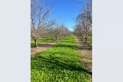 1935 Warnock Way, Durham, CA 95938 - Photo 5