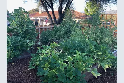 4770 Pedro Hill Road, Pilot Hill, CA 95664 - Photo 85