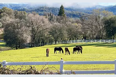 4770 Pedro Hill Road, Pilot Hill, CA 95664 - Photo 3