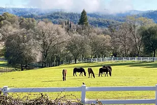 4770 Pedro Hill Rd, Pilot Hill, CA 95664 - Photo 3