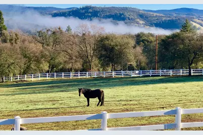 4770 Pedro Hill Road, Pilot Hill, CA 95664 - Photo 89