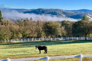 4770 Pedro Hill Rd, Pilot Hill, CA 95664 - Photo 87
