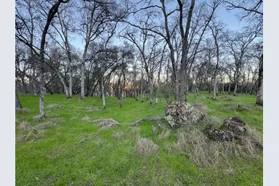 0 Cutty Sark Court, Shingle Springs, CA 95682 - Photo 15