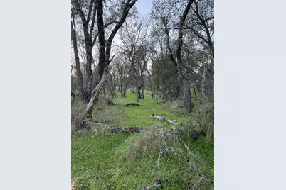0 Cutty Sark Court, Shingle Springs, CA 95682 - Photo 23