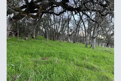 0 Cutty Sark Court, Shingle Springs, CA 95682 - Photo 25