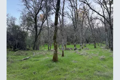 0 Cutty Sark Court, Shingle Springs, CA 95682 - Photo 21