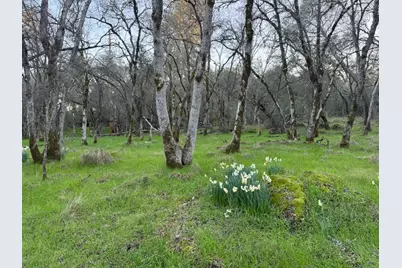 0 Cutty Sark Court, Shingle Springs, CA 95682 - Photo 9