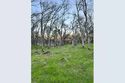 0 Cutty Sark Court, Shingle Springs, CA 95682 - Photo 17