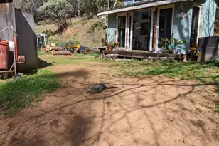 10180 Rock Creek Rd, Placerville, CA 95667 - Photo 41