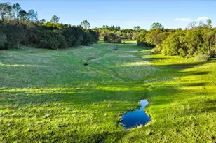 14481 Oak Ridge Rd, Penn Valley, CA 95946 - Photo 1