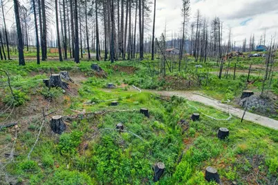 5136 Evergreen Drive, Grizzly Flats, CA 95636 - Photo 25