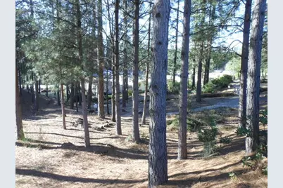 Dalewood Way, Grass Valley, CA 95949 - Photo 25