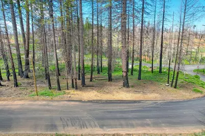 5139 Wooded Glen Road, Grizzly Flats, CA 95636 - Photo 11