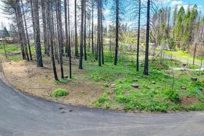 5139 Wooded Glen Road, Grizzly Flats, CA 95636 - Photo 15