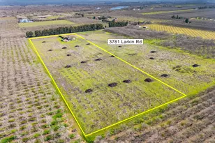 3781 Larkin Rd, Biggs, CA 95917 - Photo 13