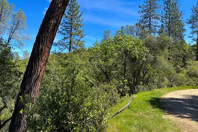 6652 Pappalardo, Murphys, CA 95247 - Photo 5