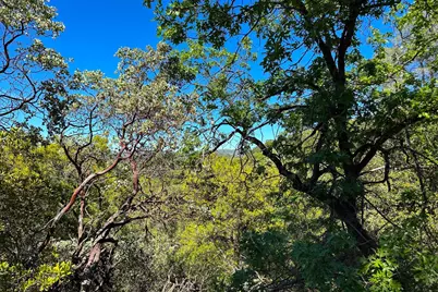 6652 Pappalardo, Murphys, CA 95247 - Photo 11