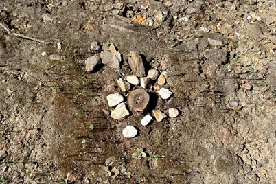 6652 Pappalardo, Murphys, CA 95247 - Photo 19