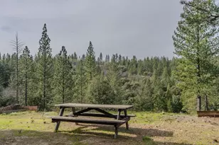 15891 Shake Ridge Rd, Sutter Creek, CA 95685 - Photo 23