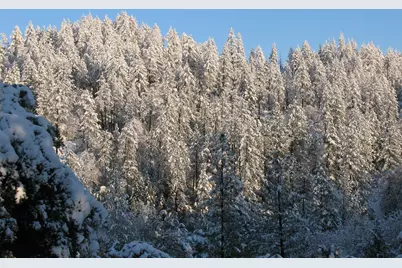 15891 Shake Ridge Road, Sutter Creek, CA 95685 - Photo 13