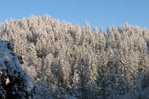 15891 Shake Ridge Rd, Sutter Creek, CA 95685 - Photo 13