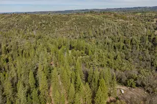 15891 Shake Ridge Rd, Sutter Creek, CA 95685 - Photo 43