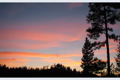 15891 Shake Ridge Road, Sutter Creek, CA 95685 - Photo 9