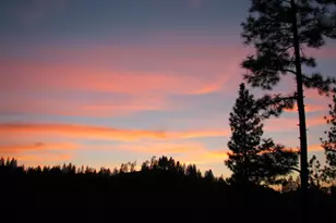 15891 Shake Ridge Rd, Sutter Creek, CA 95685 - Photo 9