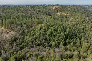 15891 Shake Ridge Rd, Sutter Creek, CA 95685 - Photo 39