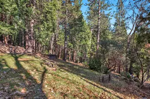 6770 Diamond Dr, Pollock Pines, CA 95726 - Photo 49