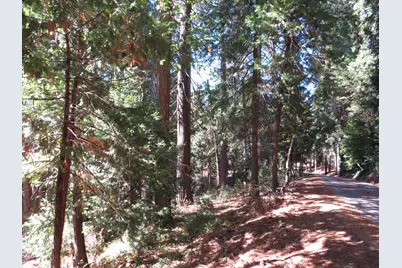 172 Sylvan Road, Colfax, CA 95713 - Photo 13