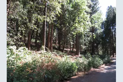 172 Sylvan Road, Colfax, CA 95713 - Photo 7