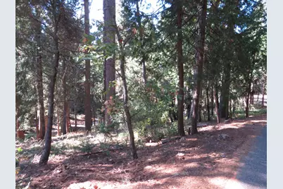 172 Sylvan Road, Colfax, CA 95713 - Photo 15