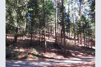 172 Sylvan Road, Colfax, CA 95713 - Photo 1