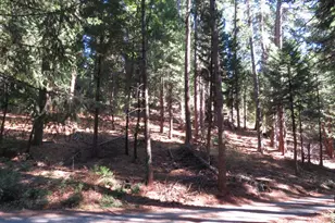 172 Sylvan Rd, Colfax, CA 95713 - Photo 1