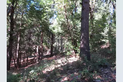 172 Sylvan Road, Colfax, CA 95713 - Photo 11