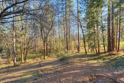 14975 Chattering Pines, Grass Valley, CA 95945 - Photo 39