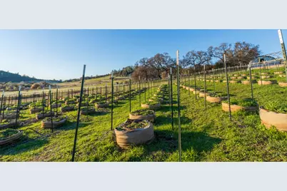 19728 Perimeter Road, Grass Valley, CA 95949 - Photo 35