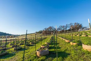 19728 Perimeter Rd, Grass Valley, CA 95949 - Photo 35