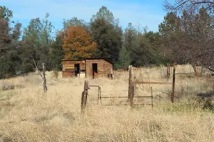 21705 S Powerhouse Rd, Manton, CA 96059 - Photo 13