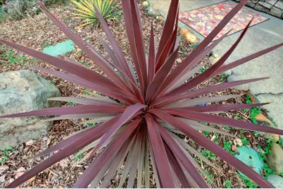 124 Ruby Ledge Court, Grass Valley, CA 95945 - Photo 77