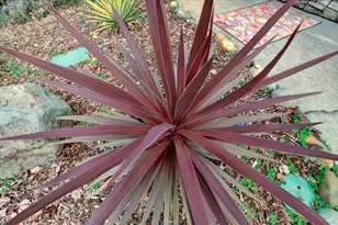 124 Ruby Ledge Ct, Grass Valley, CA 95945 - Photo 77