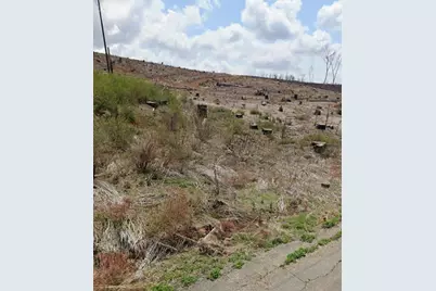 7450 Winding Way, Grizzly Flats, CA 95636 - Photo 9