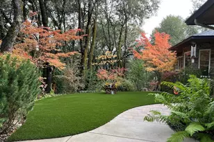 1440 Dog Bar, Colfax, CA 95713 - Photo 93