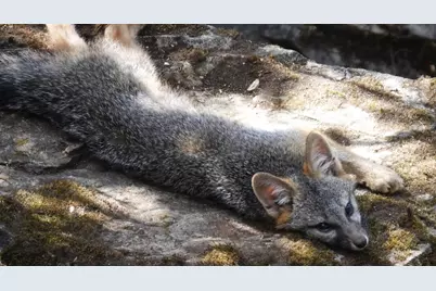 1440 Dog Bar, Colfax, CA 95713 - Photo 53